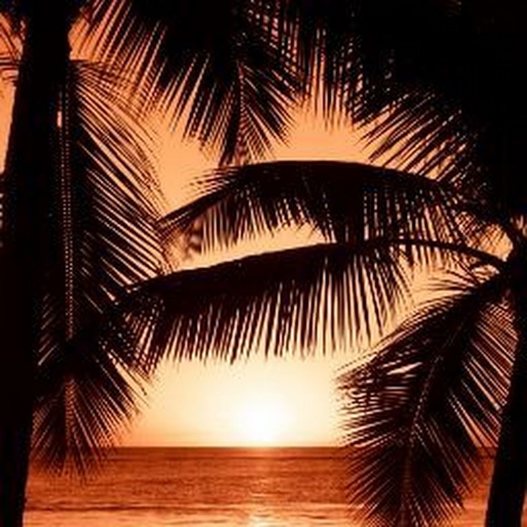 Meet your Posher, Marissa - Picture 1 of 1